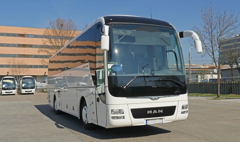North Brabant: Buses operator in Valkenswaard in Valkenswaard and Netherlands