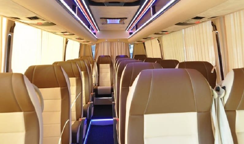 Netherlands: Coach reservation in North Brabant in North Brabant and Dongen